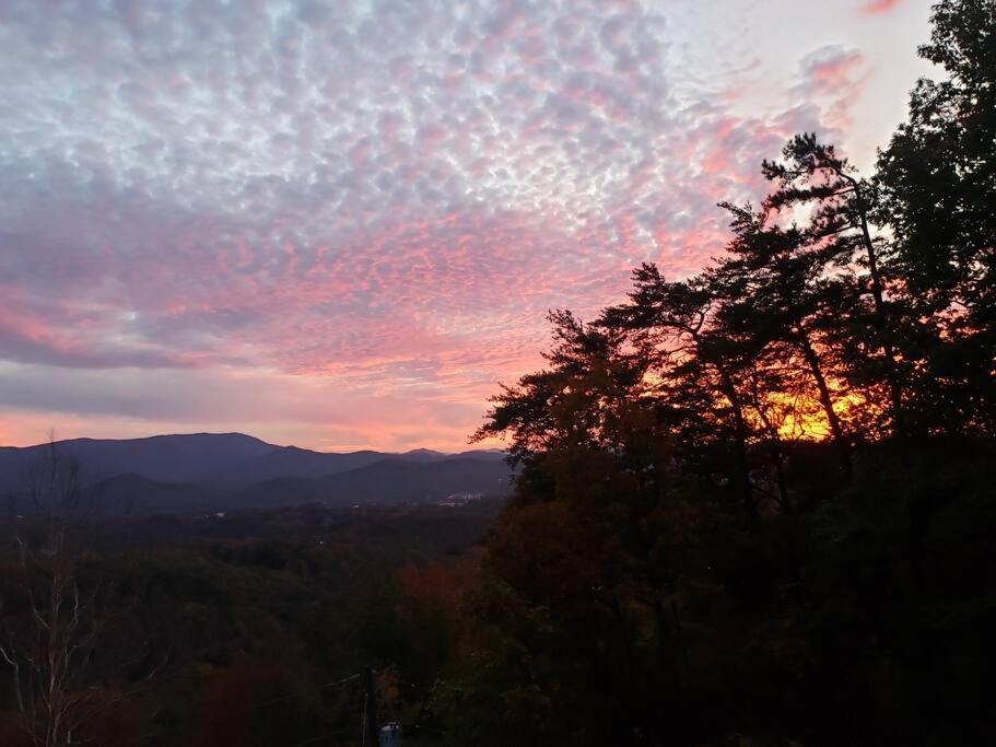 Вилла Yogi'S Den: Breathtaking Views! 3 Min To Dollywood, On 1 Acre! Севьервилл Экстерьер фото